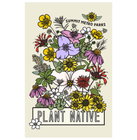 Plant Native Poster