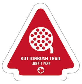 Buttonbush Trail Sticker