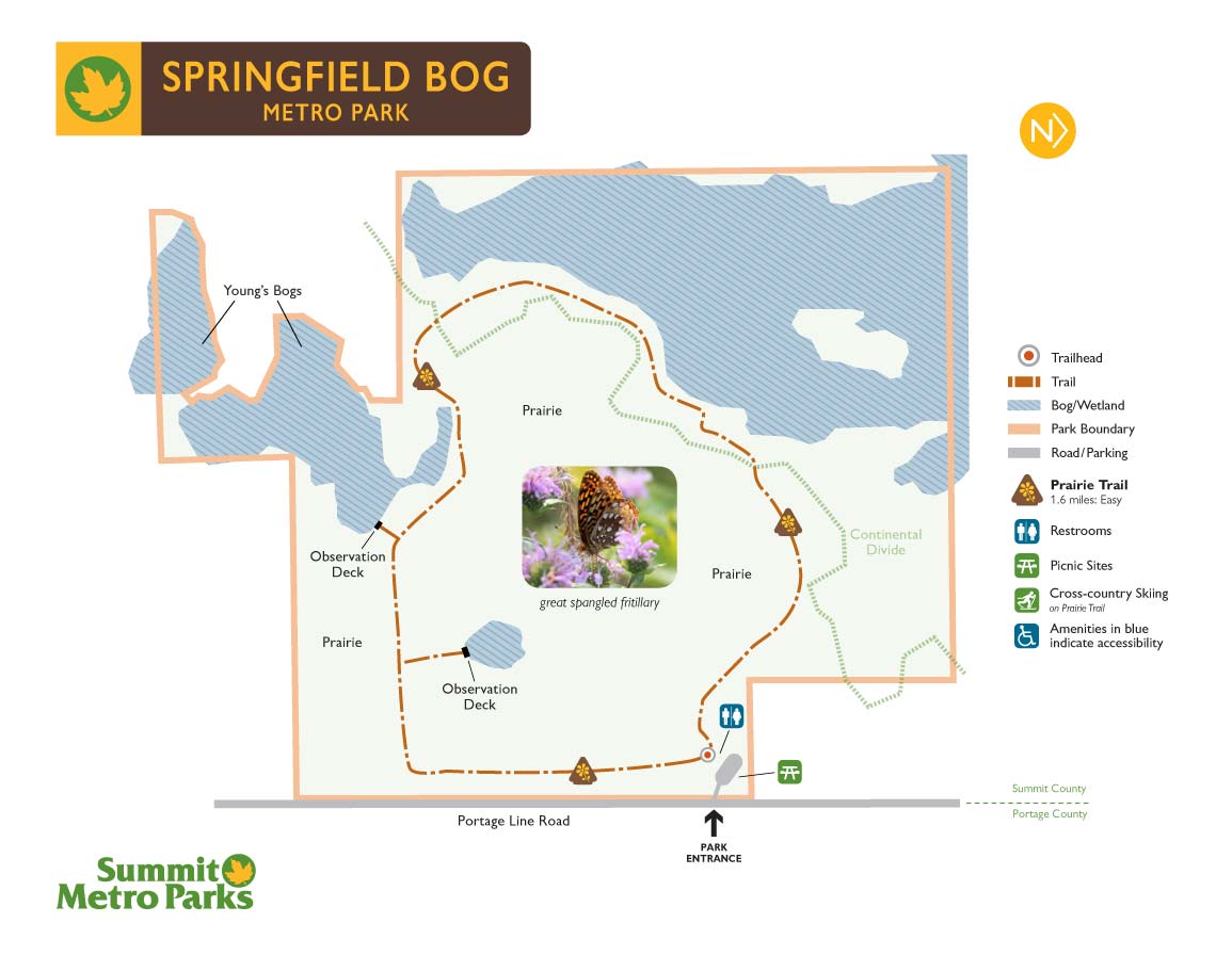 Springfield Bog Map