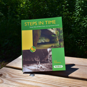 Steps in Time (Paperback)