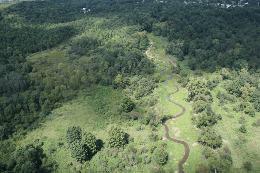Overhead view of effects of Pond Brook restoration
