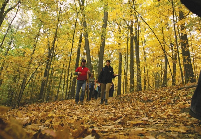 A group of people hikes through a forest in autumn.