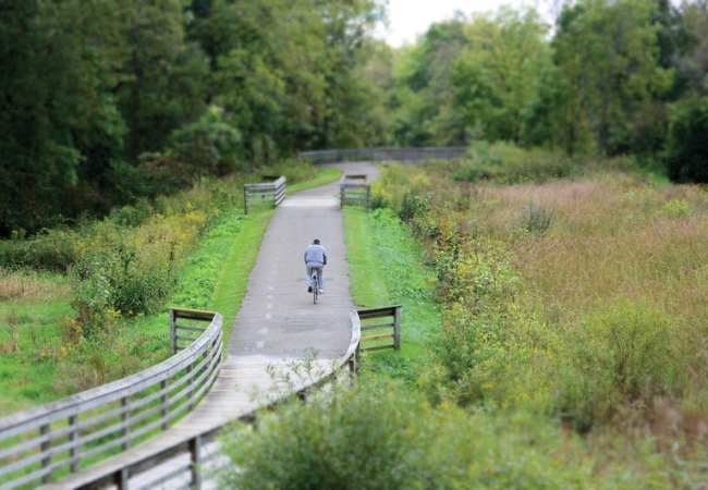 A cyclist rides along a paved and limestone pathway surrounded by meadow and forest.