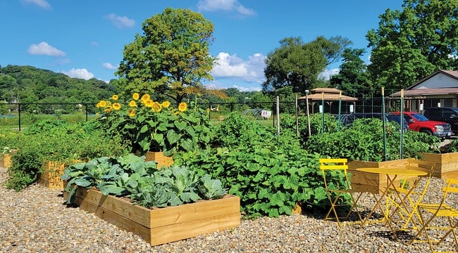Raised beds in the community garden at Summit Lake Nature Center.