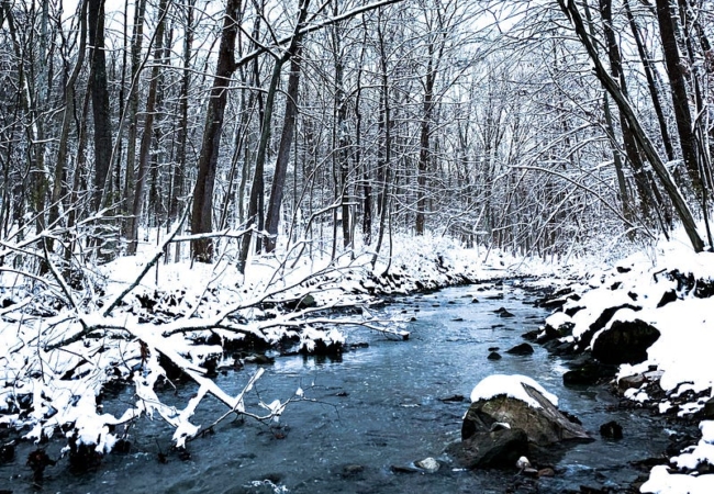 A stream runs through a snow covered forest.