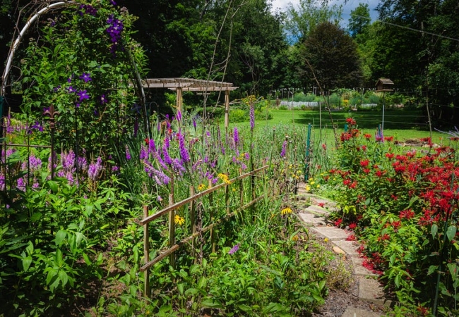 A stone path leads through a variety of native plants to a grassy yard and pergola.