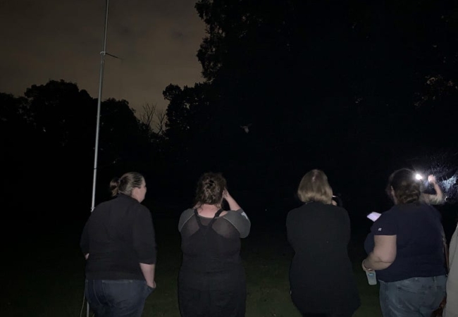 Four women stand, backs to the camera, looking toward a dark night sky.