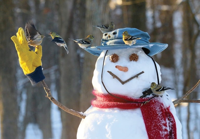 Several birds are sitting on the hat, gloves and scarf of a snowman.