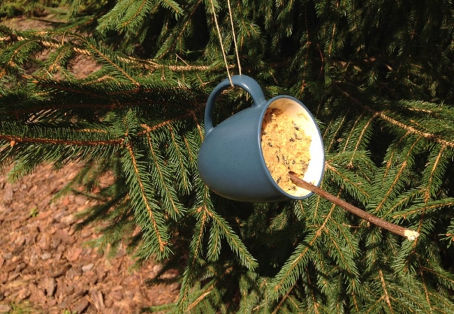 A mug bird feeder hanging from a tree branch.