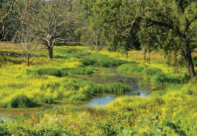The Cuyahoga River at the Valley View Area of Cascade Valley Metro Park.