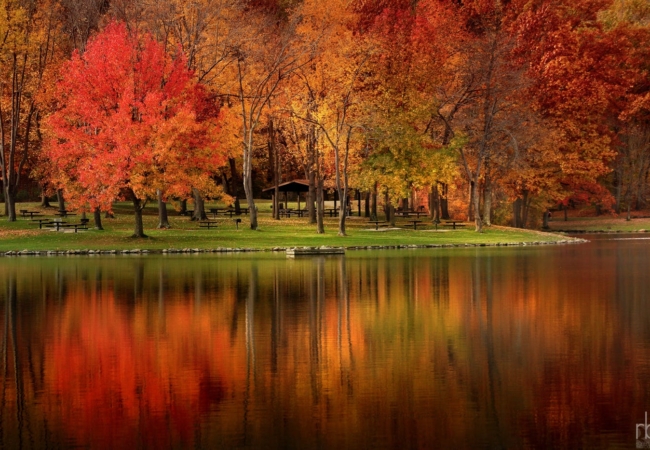 Red and yellow trees reflected in a lake.
