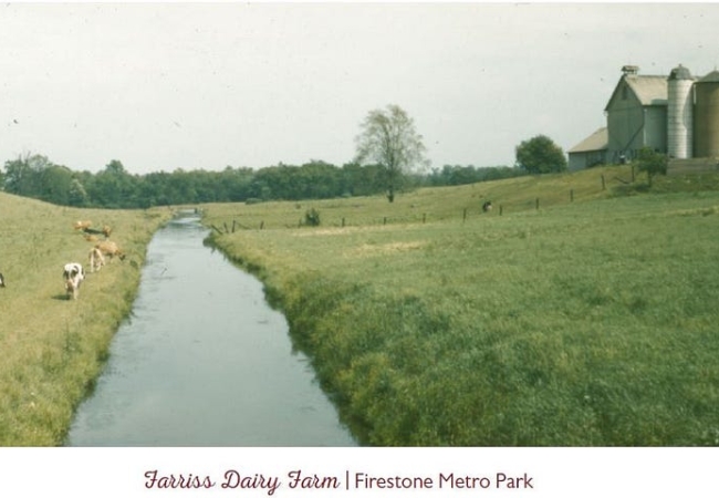 A straight canal of water leads between two fields. A barn and silos sit in the distance, up a small hill from the canal.