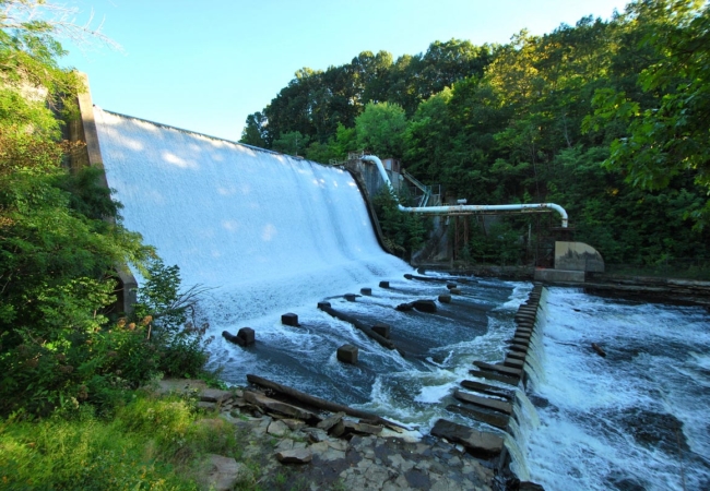 Water rushes over a tall concrete dam to the river below. Either side of the dam is surrounded by trees and other vegetation.
