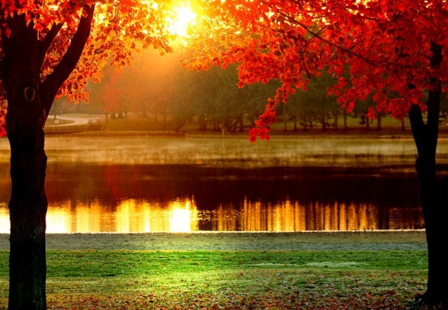 Two trees with bright green leaves frame a lake in the background. The sun sets beyond the lake.