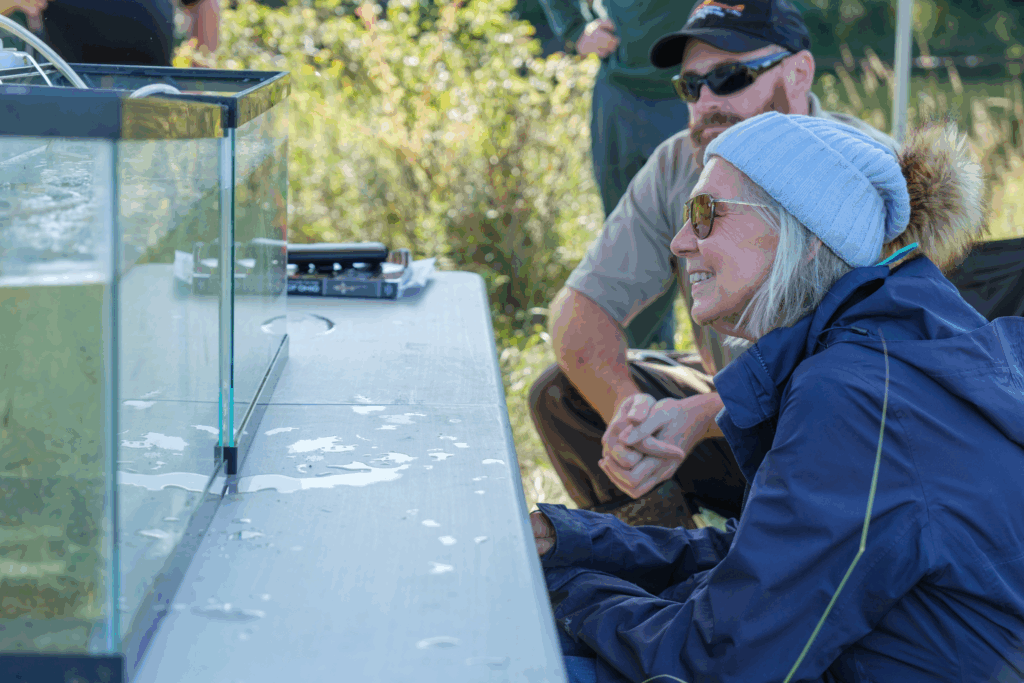 Marilyn Buckey and Ramsey Langford, park biologist, take a closer look at fish sampled from the ponds as they swim around a temporary tank.