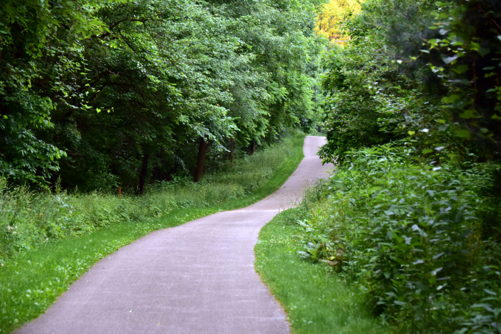 A trail surrounded by green grass and trees