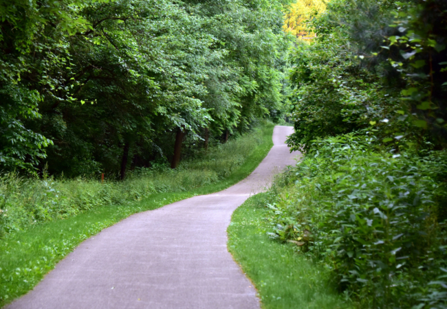 A trail surrounded by green grass and trees