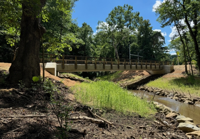 A stream running under a trail bridge.