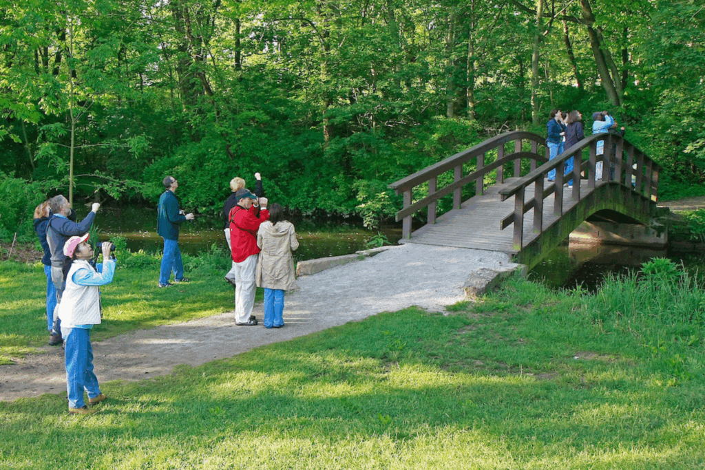 People along a trail and bridge at Firestone Metro Park birdwatching