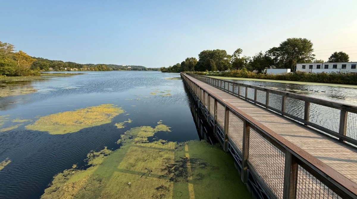 Floating Section Of Towpath Trail In 2025
