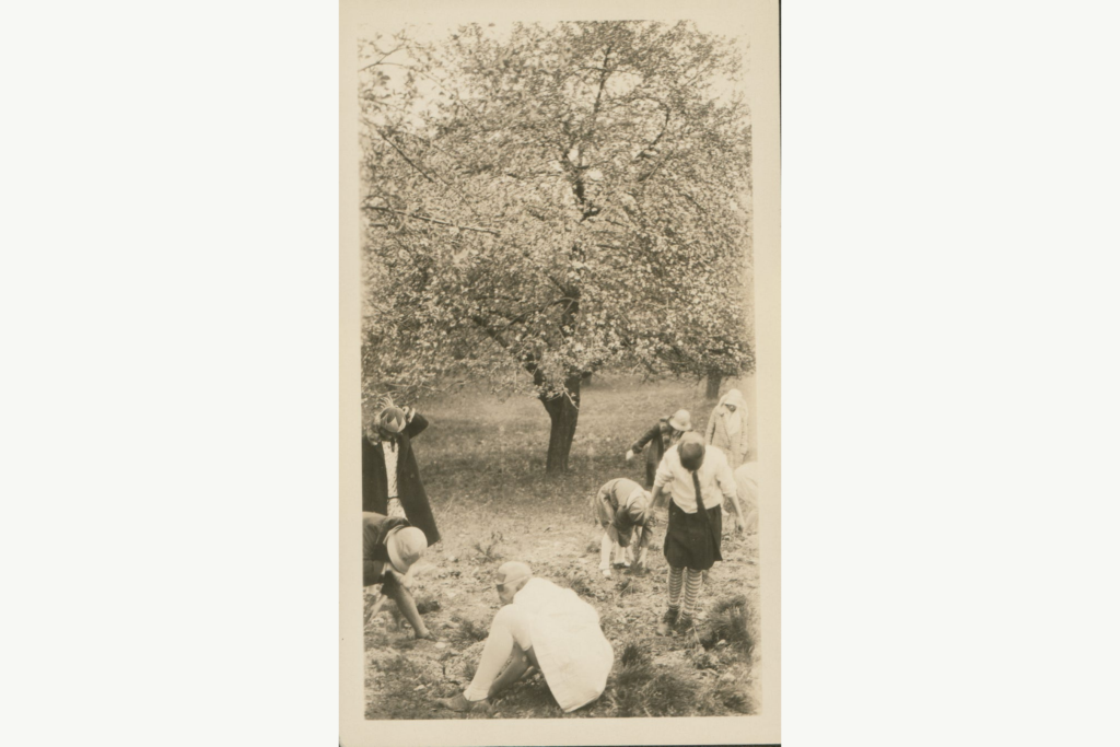 Girl Scouts plant pines at Sand Run Metro Park on May 4, 1929
