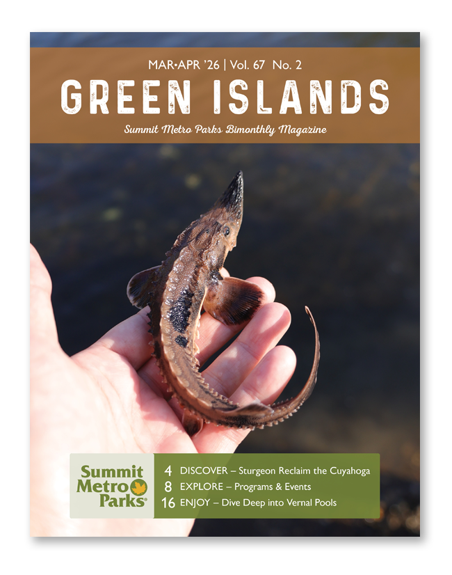 The cover of the 2026 March/April Green Islands magazine.