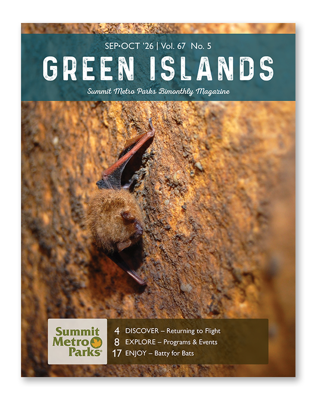 The cover of the 2026 September/October Green Islands magazine, featuring a bat hanging on a wall.