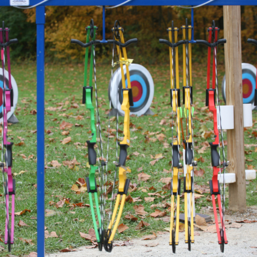 Archery bows in front of a set of targets