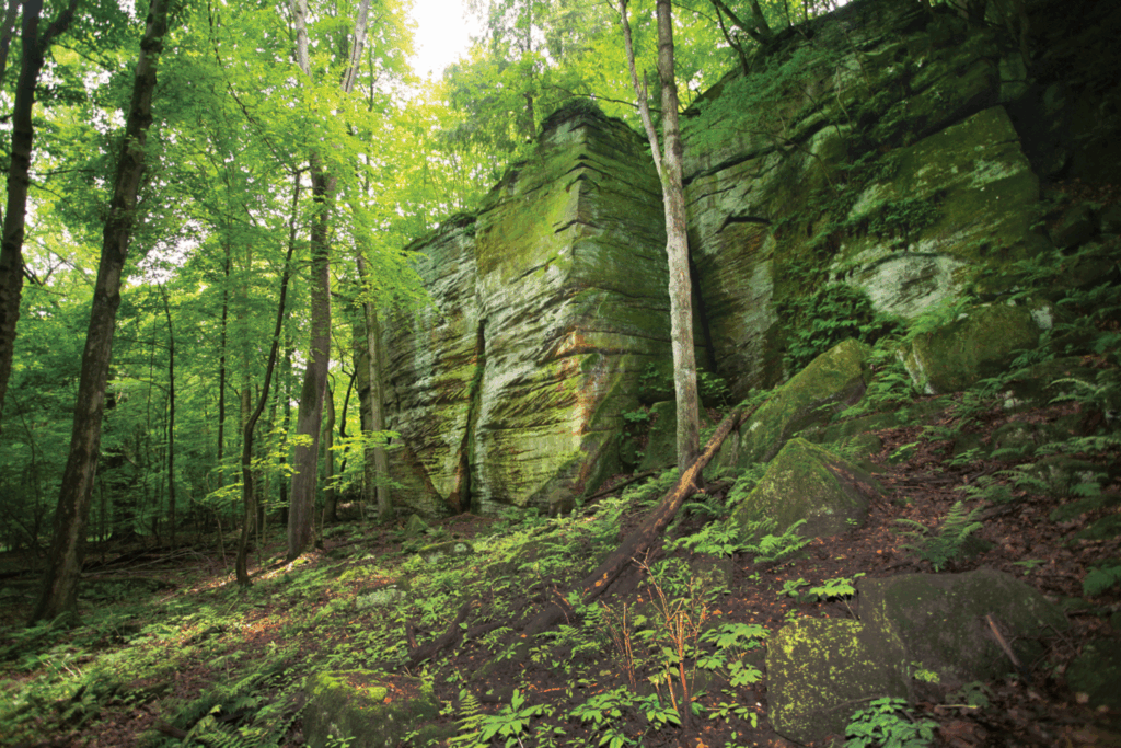 View of sandstone ledges along Ledges Trail at Liberty Park