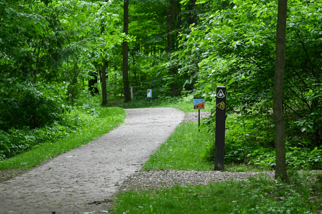 trail signs for Maple Loop Trail and Ledges Trail, with a self-guided story program along the trail in the background