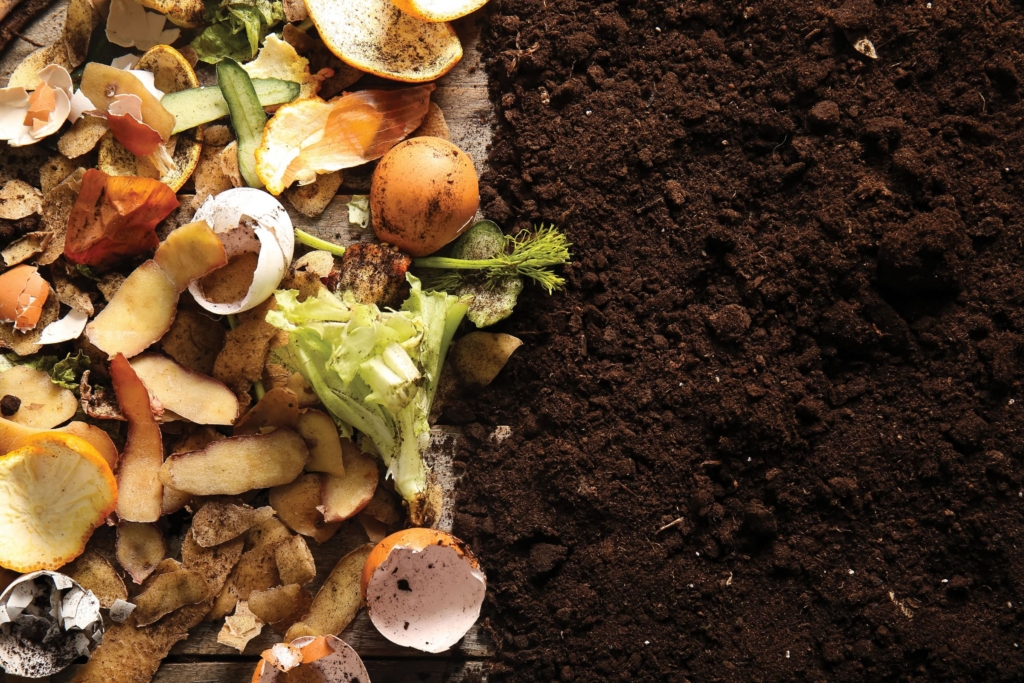 The left side of the image shows various food scraps, like egg shells, apple and potato peels, onion skins and more, while the right side shows dark brown soil. A wooden table shows through in some areas.