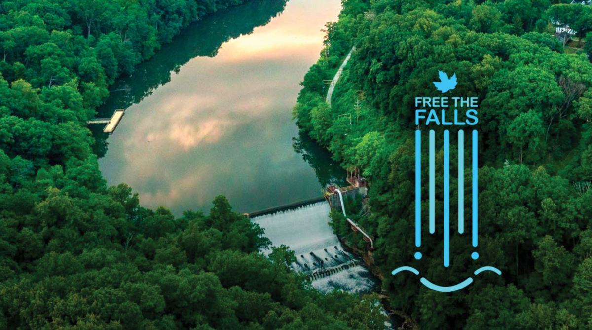 Overhead view of Gorge Dam at Gorge Metro Park with the Free the Falls logo on top
