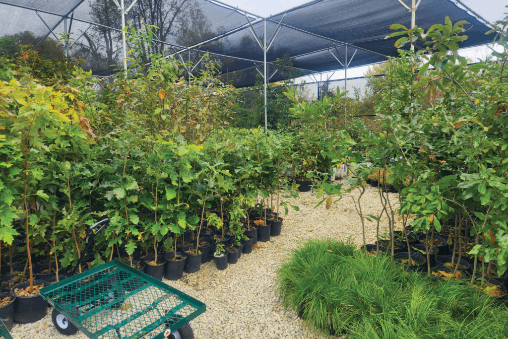 Plant nursery inside Liberty Park