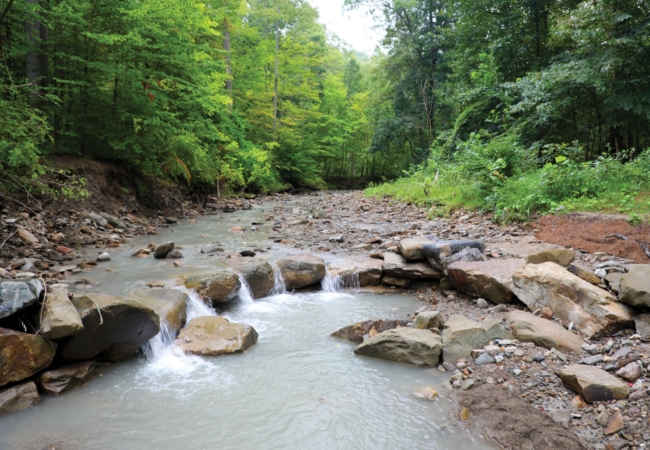 stream, post-restoration in 2023, at Sand Run Metro Park