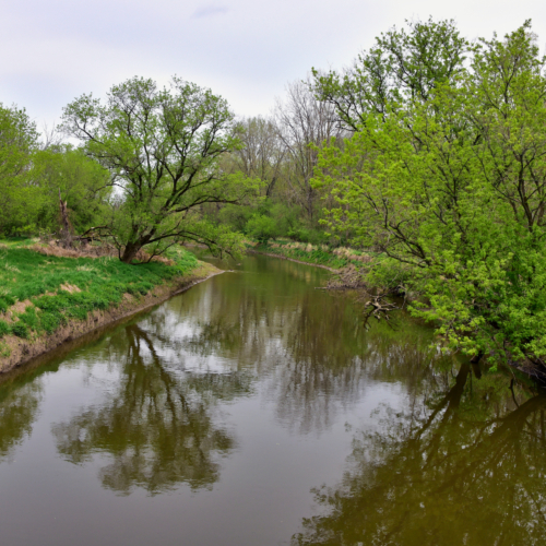 The Tuscarawas River flowing through a green forest.