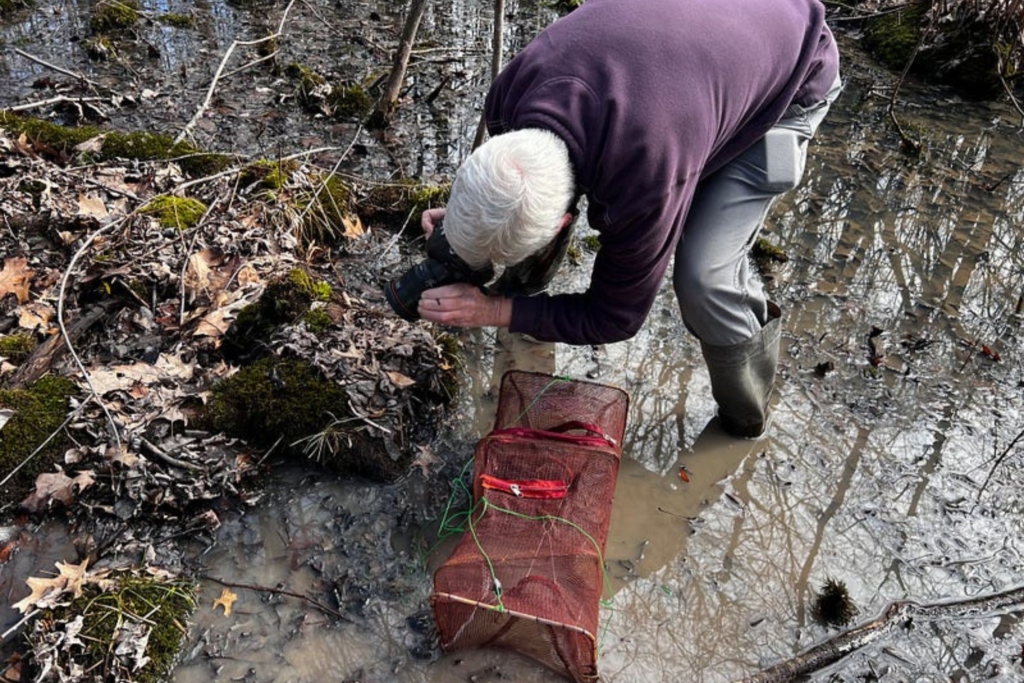 Vernal pool volunteer Jerry Cannon stops to take a picture while conducting surveys while a trap sits in front of him.