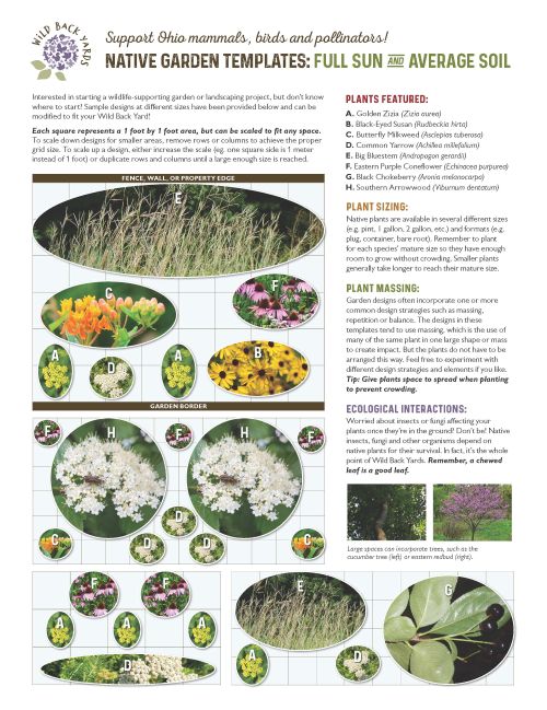 preview of one of the native garden templates