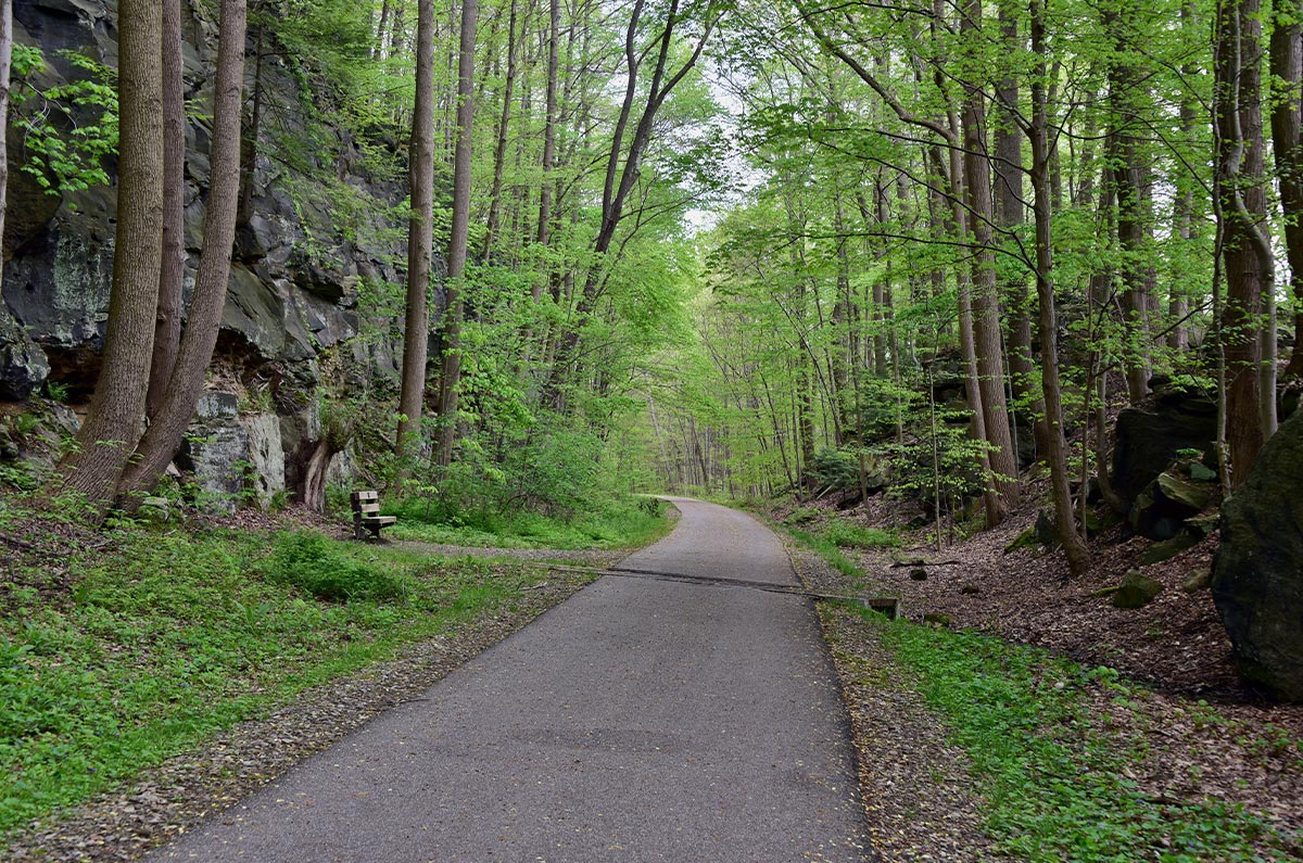 A paved trail surrounded on either side by stone ledges and forest.