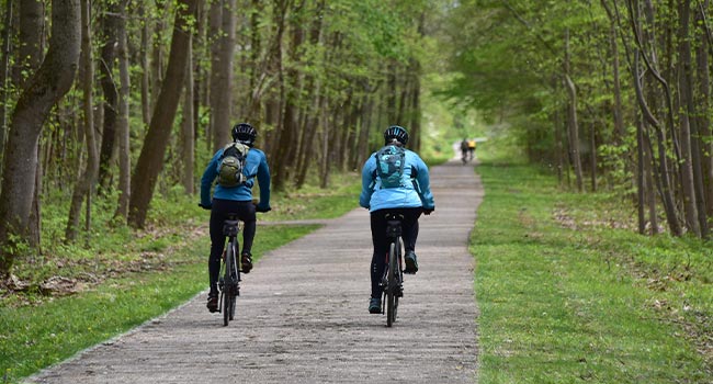 Two cyclists travel along a paved, wooded trail.