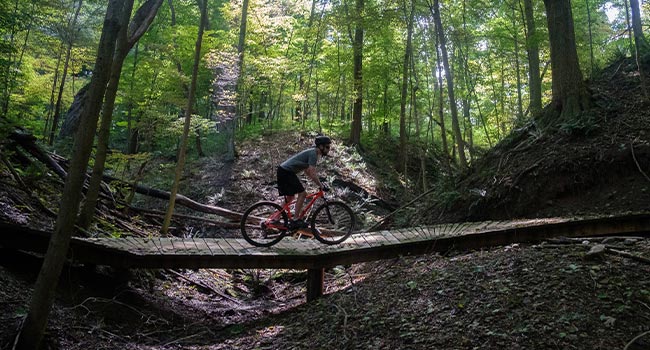 A mountain biker rides across a wooden bridge in the forest.
