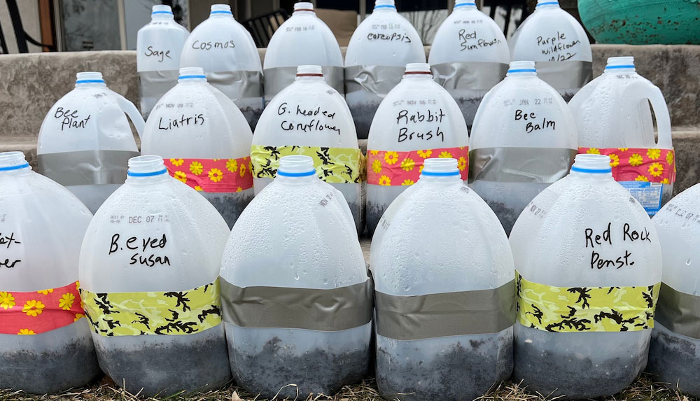 Many milk jugs partially filled with dirt and labeled with black writing