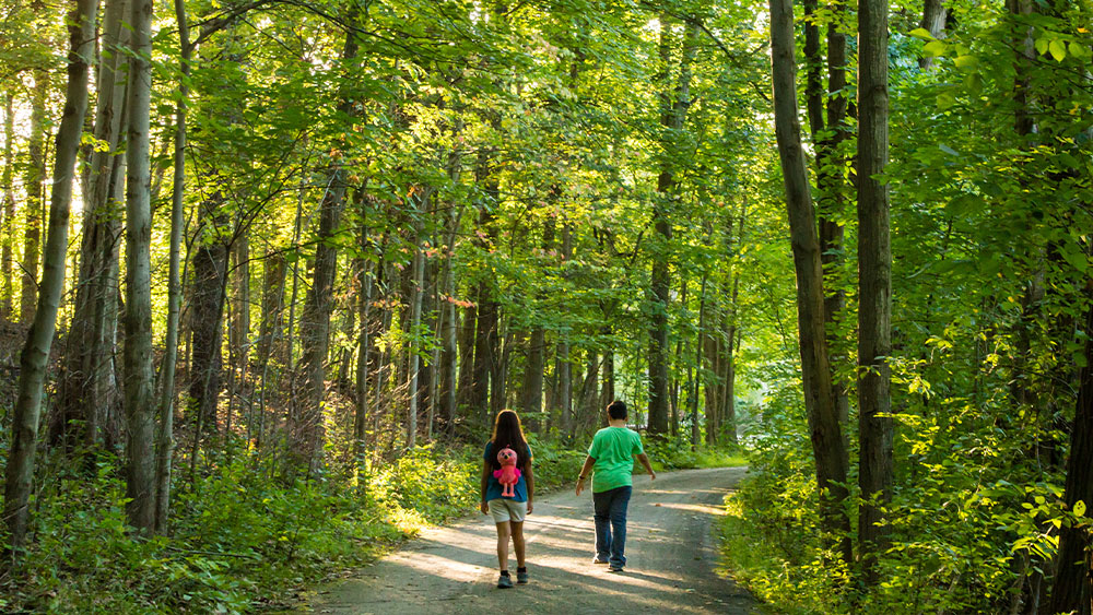 Two children was along a trail in the forest.