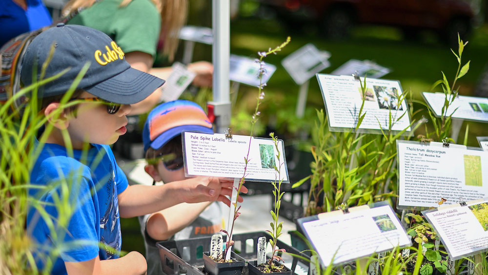 A young child wearing a blue shirt and a hat examines a native plant at an outdoor festival, surrounded by labeled seedlings