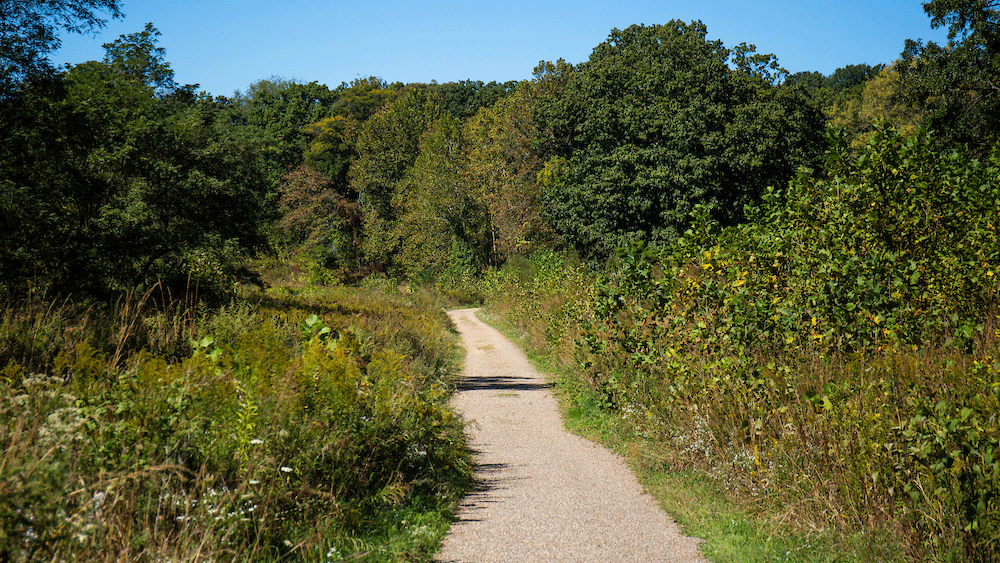 A paved trail winds through a green, wooded area under a clear blue sky.