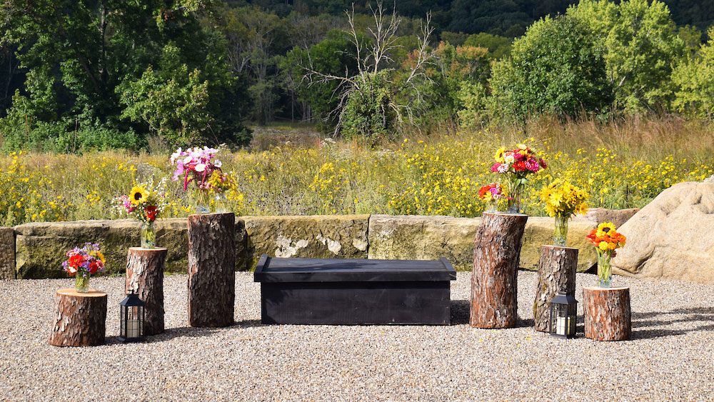 brightly colored flower arrangements on logs with a field and trees in the background