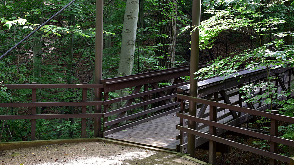 A dirt trail leading to a suspension bridge in the woods.