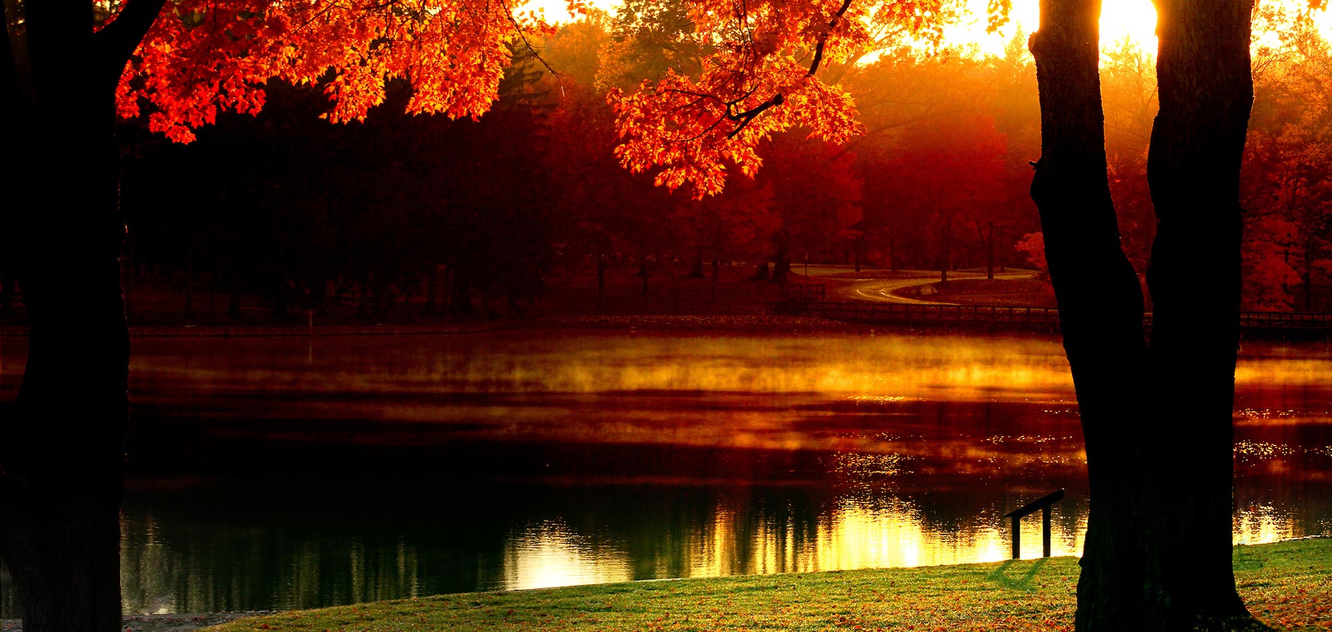 F.A. Seiberling Nature Realm