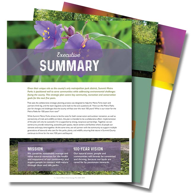 A series of three pages from the strategic plan.