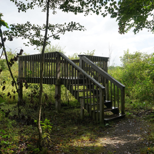 A wooden staircase leads up to a wooden observation deck.