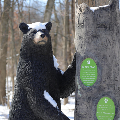 A snow-covered statue of a black bear leaning against a tree trunk. Small plaques on the trunk provide information about black bears and